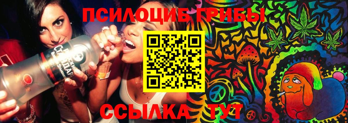 Галлюциногенные грибы Psilocybine cubensis  Псилоцибиновые грибы ЛСД  цены   Чебоксары  Вход с VPN 