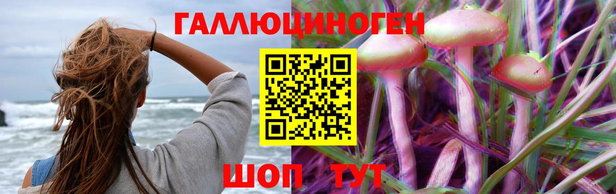Галлюциногенные грибы прущие грибы Чебоксары